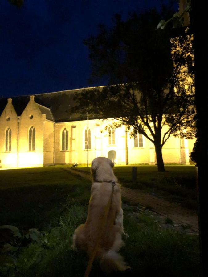 De Drei Schorre Bed & Breakfast Dreischor Bagian luar foto
