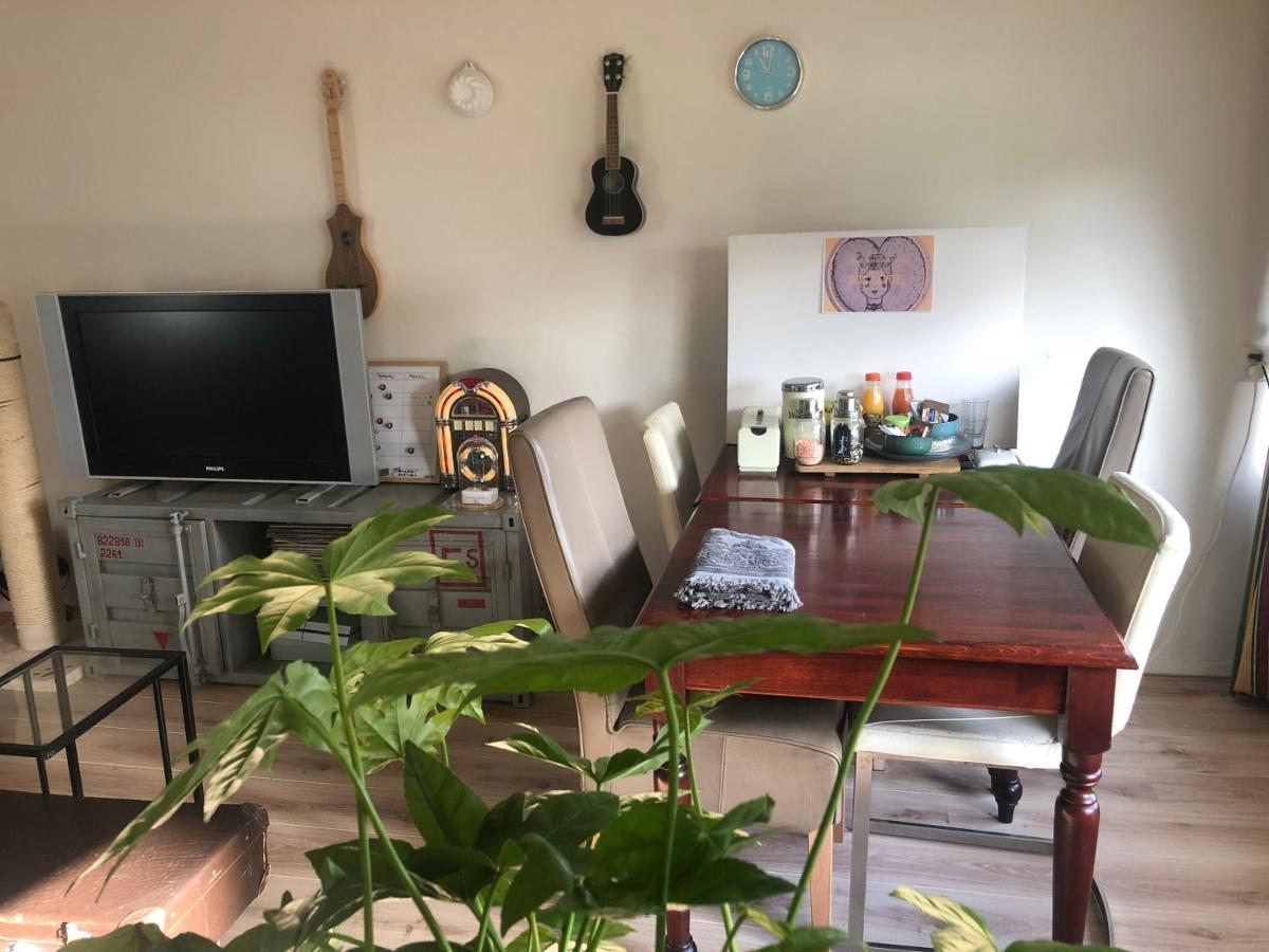 De Drei Schorre Bed & Breakfast Dreischor Bagian luar foto